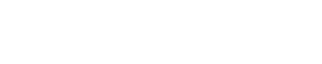 Massive Dynamic